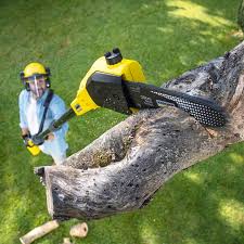Lawn Drainage Solutions in Honey Grove, TX