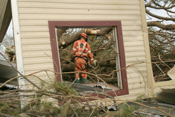 Best Leaf Removal  in Honey Grove, TX